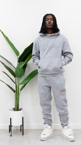 "THE PLANE JANE STAPLE SET FW 25/26" HOODIE (GREY W/ GREY)