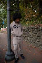 Load image into Gallery viewer, "THE PLANE JANE STAPLE SET FW 26/27" HOODIE (TAUPE)