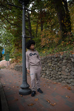 Load image into Gallery viewer, "THE PLANE JANE STAPLE SET FW 26/27" HOODIE (TAUPE)
